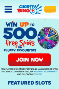 charitybingo.com 320x480