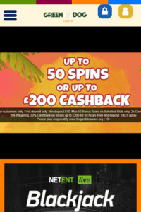 greendogcasino.com 320x480