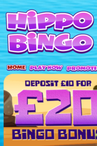 hippobingo.com 320x480