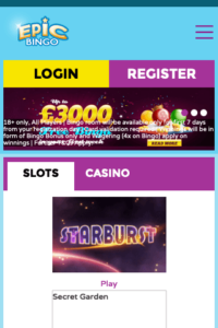 epicbingo.co.uk 320x480