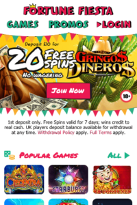 fortunefiesta.com 320x480