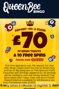 queenbeebingo.com 320x480