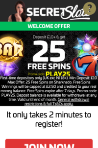 secretslots.com 320x480