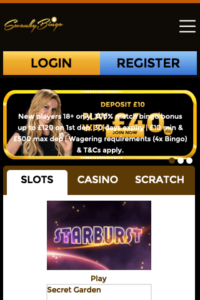 swankybingo.com 320x480