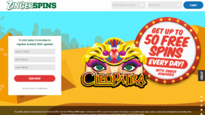 Zinger Spins sites like