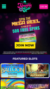 NaughtySpin mobile screenshot