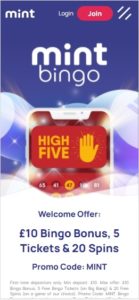 mint bingo mobile screenshot