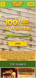duck duck bingo mobile screenshot 2021