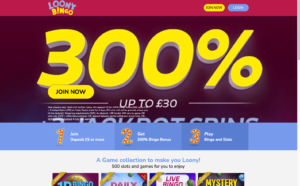 loony bingo laptop screenshot 2021