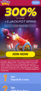 loony bingo mobile screenshot 2021