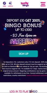 Bucky Bingo mobile screenshot