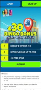 City Bingo mobile screenshot