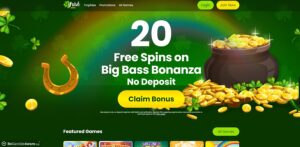 Mirror Bingo sister sites Irish Wins