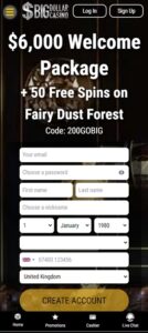 Big Dollar Casino mobile screenshot