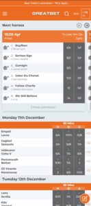 Great Bet mobile screenshot