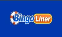 Bingo Liner logo