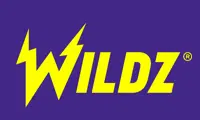 wildz casino logo