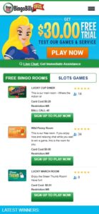 Bingo Billy sister sites mobile