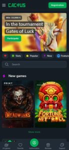 Cactus Casino sister sites mobile