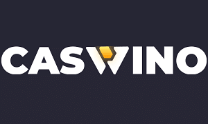 Caswino sister sites logo