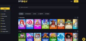 Spinsala sister sites homepage