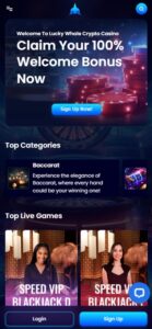 Lucky Whale Casino sister sites mobile