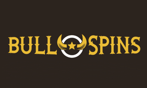 BullSpins Casino logo