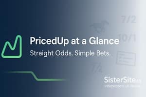 PricedUp At A Glance