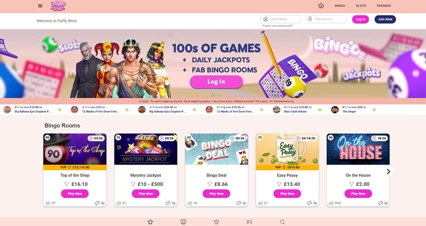 Dotty Bingo sister site Fluffy Wins