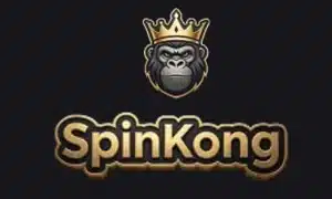 Spinkong logo