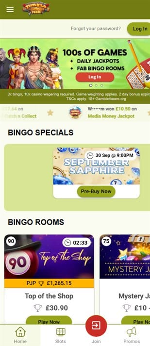 Jungle Reels sister sites mobile